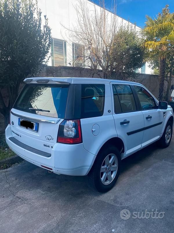 Usata Land Rover Freelander 2 190 CV (139 kW) 2011 Bianco SUV