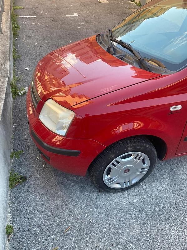Usata Fiat Panda 77 CV (56 kW) 2008 Rosso Utilitaria