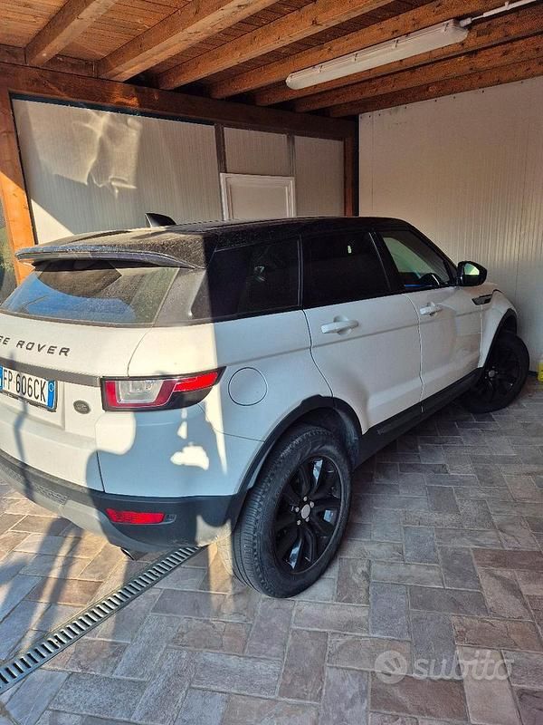 Usata Land Rover Range Rover evoque 241 CV (177 kW) 2018 Bianco SUV
