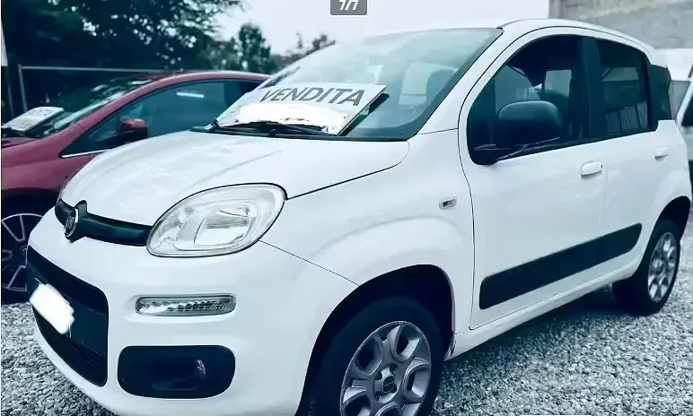Usata Fiat Panda 4x4 S 75 CV (55 kW) 2015 Bianco Utilitaria