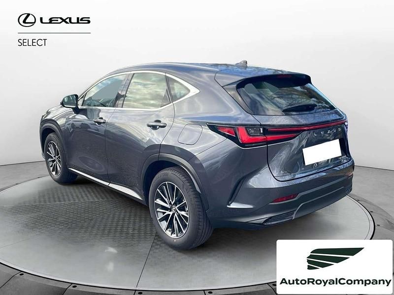 Usata Lexus NX300 Business Edition 243 CV (178 kW) 2023 Grigio SUV