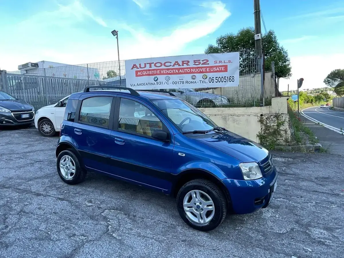 Usata Fiat Panda 4x4 69 CV (50 kW) 2006 Blu Utilitaria