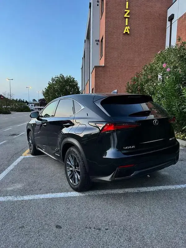 Usata Lexus NX300h Sport Line 152 CV (111 kW) 2019 SUV