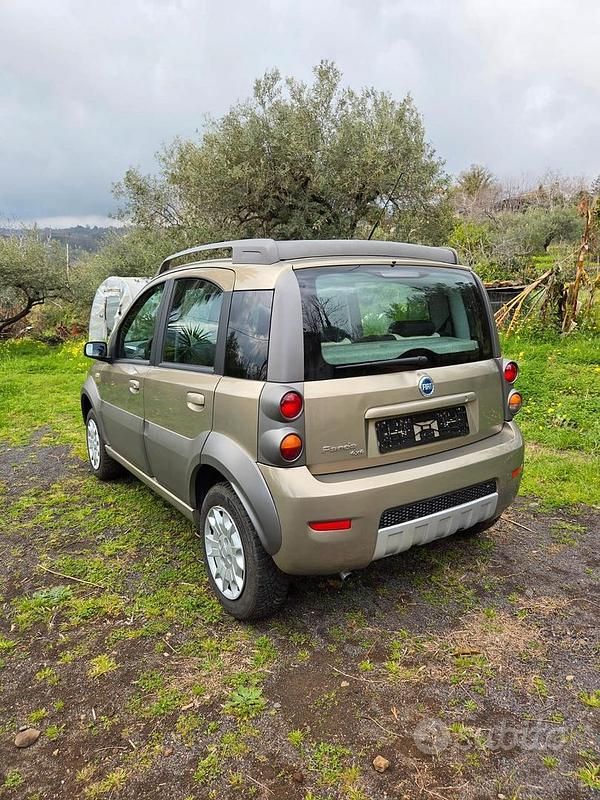 Usata Fiat Panda 4x4 Cross 70 CV (51 kW) 2007 Utilitaria