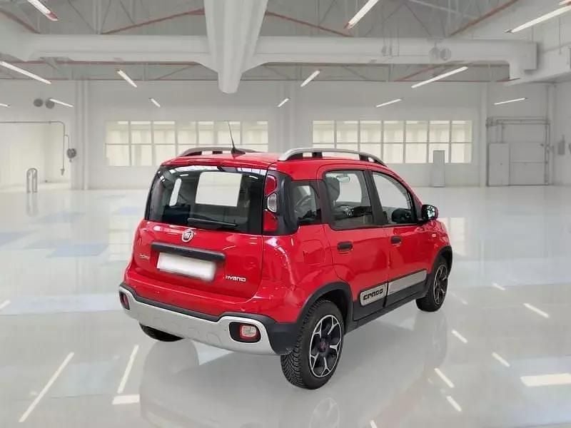 Usata Fiat Panda Cross Cross 69 CV (50 kW) 2021 Rosso Utilitaria