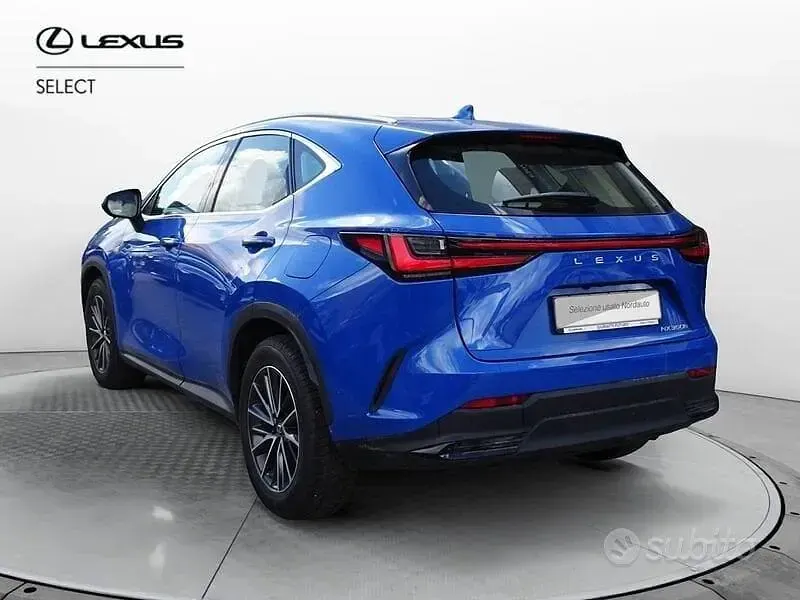 Usata Lexus NX350h Business Edition 243 CV (178 kW) 2023 Blu SUV