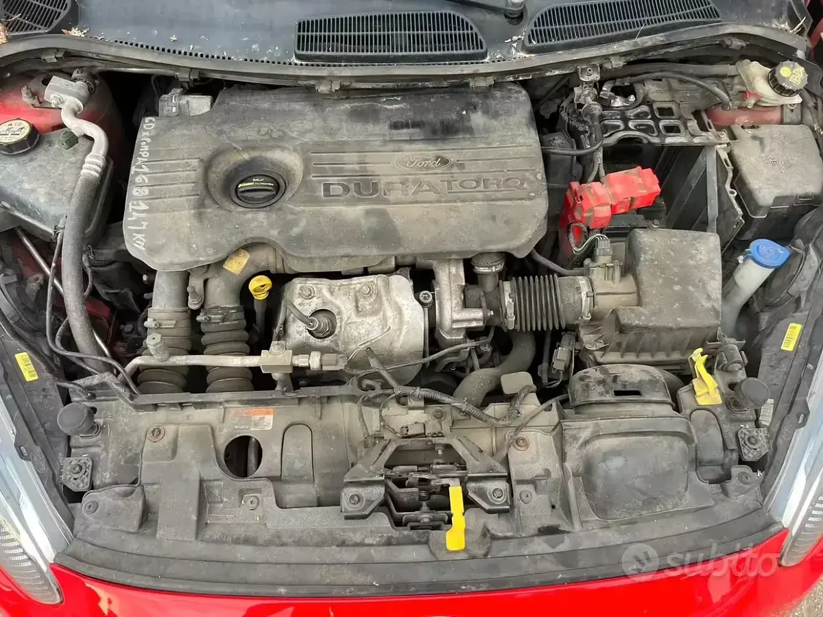 Usata Ford Fiesta 75 CV (55 kW) 2016 Rosso Utilitaria