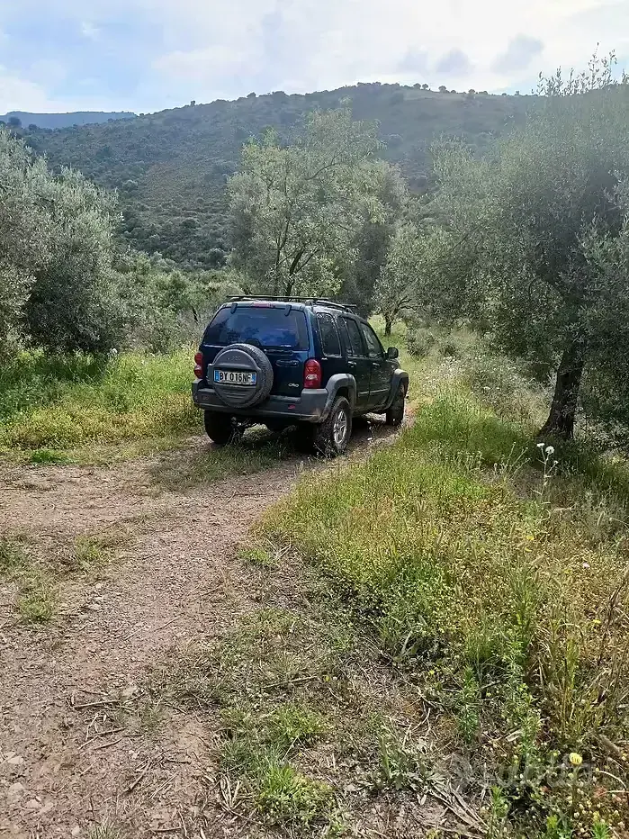 Usata Jeep Cherokee 143 CV (105 kW) 2002 SUV