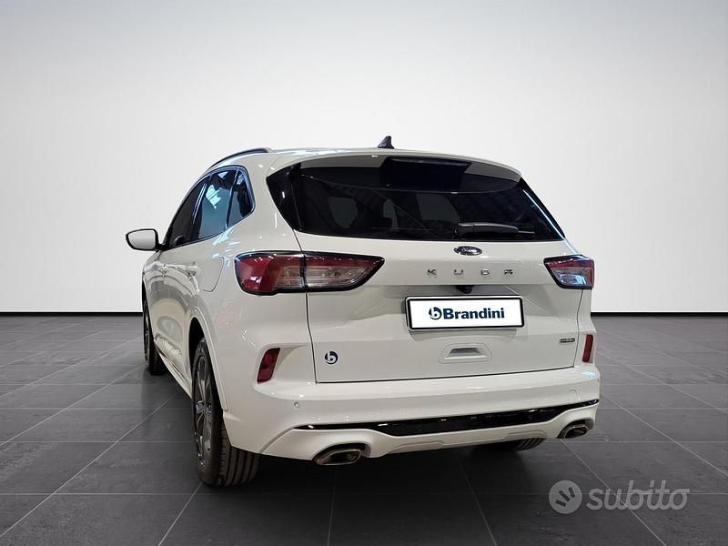 Usata Ford Kuga ST-Line X 190 CV (139 kW) 2023 Bianco SUV