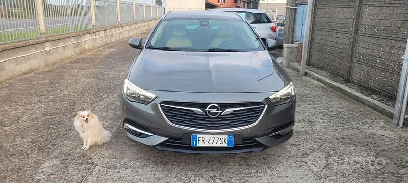 Usata Opel Insignia Innovation 136 CV (100 kW) 2018 Oro Station wagon