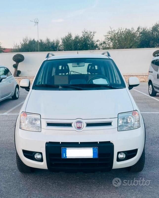 Usata Fiat Panda 4x4 Climbing 75 CV (55 kW) 2011 Bianco Utilitaria