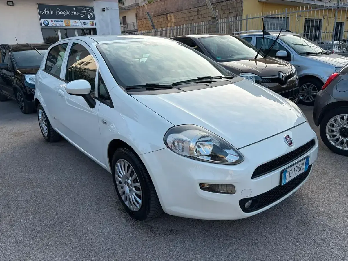 Usata Fiat Punto Lounge 85 CV (62 kW) 2016 Bianco Utilitaria