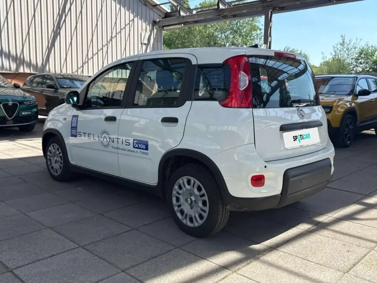 Usata Fiat Panda S 69 CV (50 kW) 2024 Bianco Utilitaria