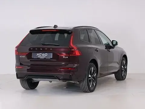 Nuova Volvo XC60 Plus 349 CV (256 kW) 2026 Rosso SUV