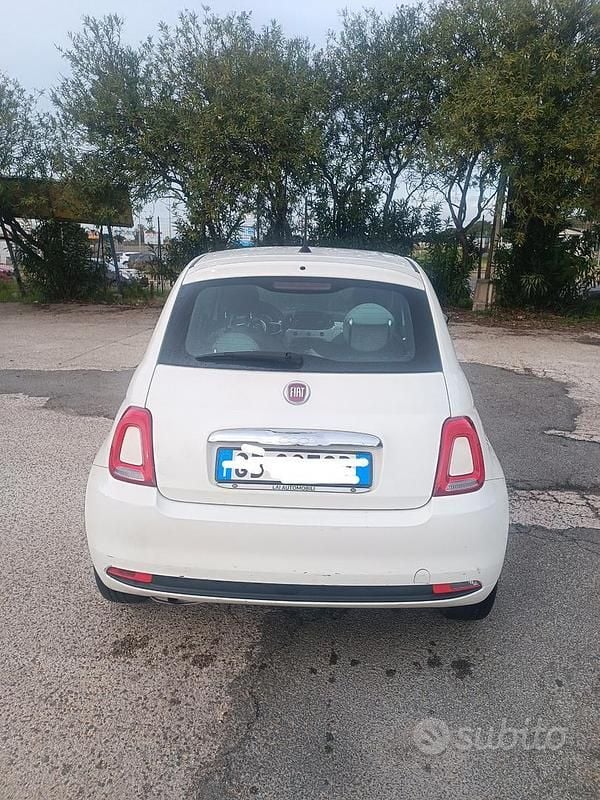 Usata Fiat 500 69 CV (50 kW) 2020 Bianco Utilitaria
