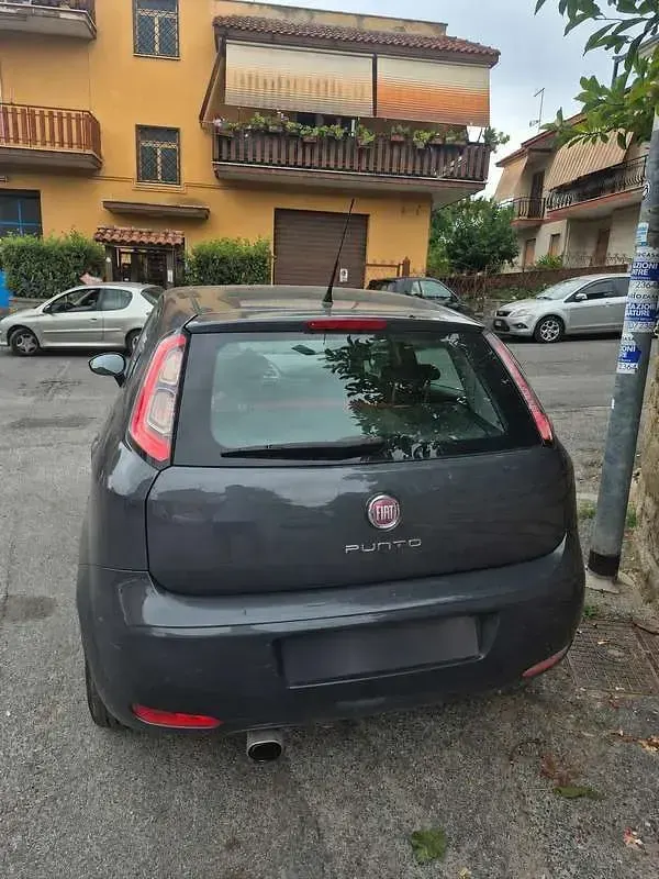 Usata Fiat Punto Lounge 69 CV (50 kW) 2014 Utilitaria