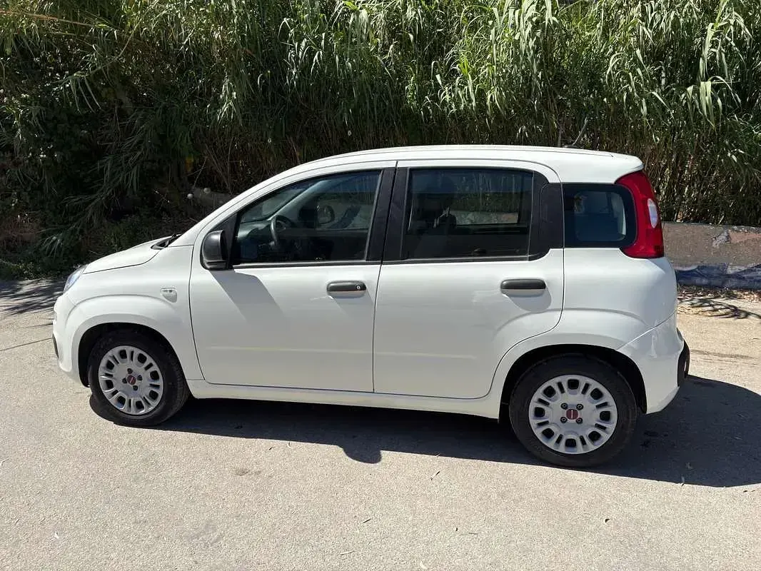 Usata Fiat Panda S 69 CV (50 kW) 2021 Bianco Utilitaria