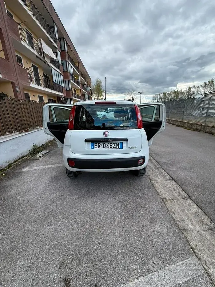 Usata Fiat Panda 70 CV (51 kW) 2013 Bianco Utilitaria