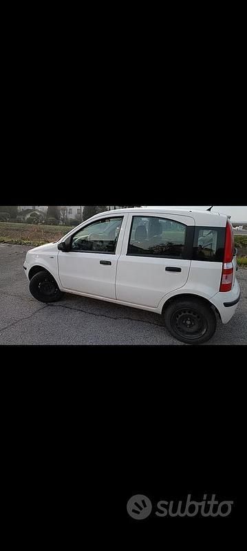 Usata Fiat Panda 2009 Bianco Utilitaria