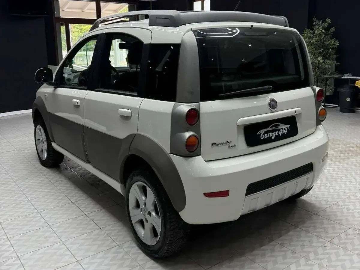 Usata Fiat Panda 4x4 Cross 75 CV (55 kW) 2011 Bianco Utilitaria