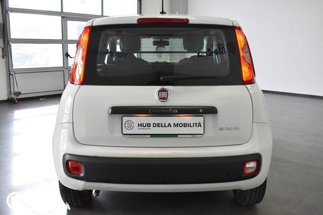 Usata Fiat Panda Easy 69 CV (50 kW) 2020 Bianco Utilitaria
