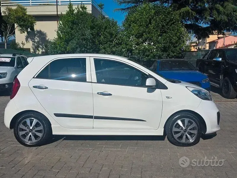Usata Kia Picanto 68 CV (50 kW) 2015 Bianco Utilitaria