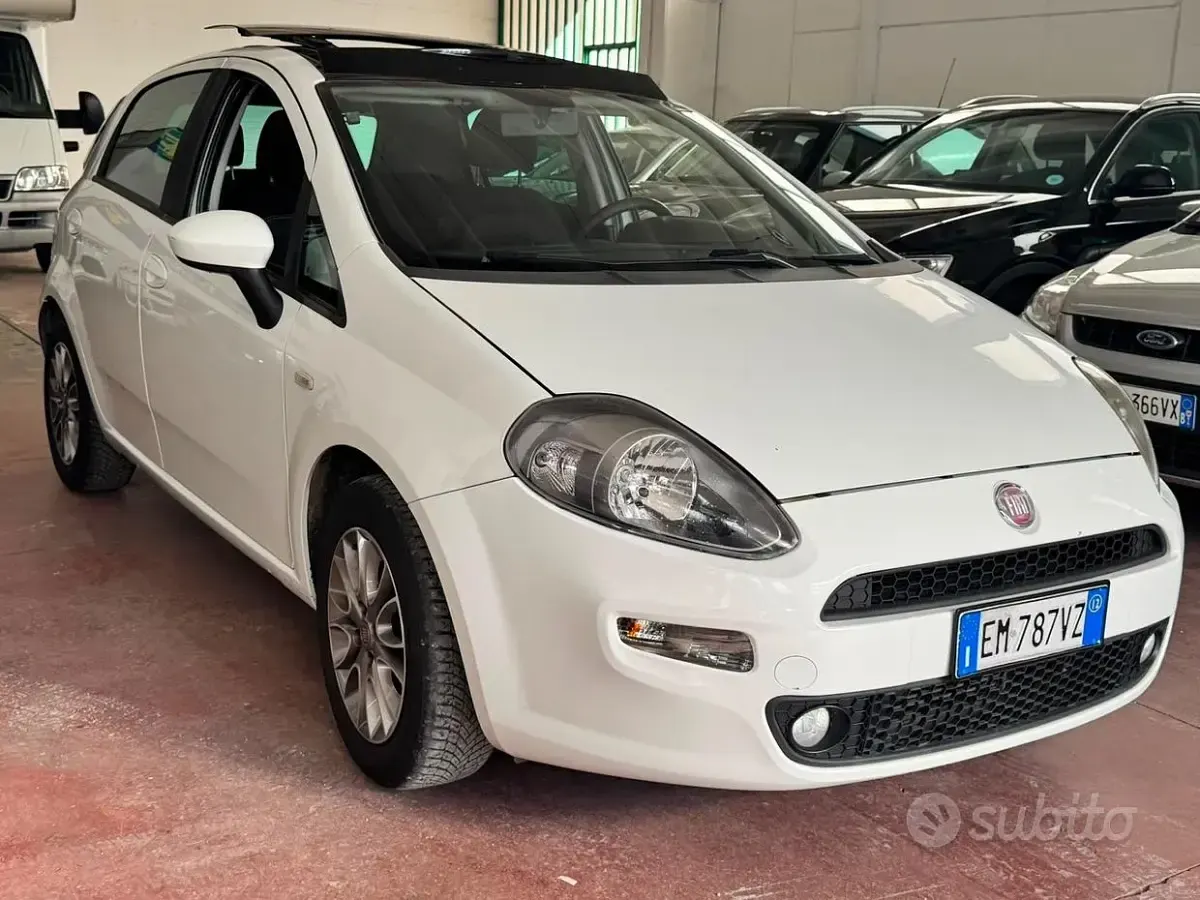 Usata Fiat Punto S 95 CV (69 kW) 2012 Bianco Utilitaria