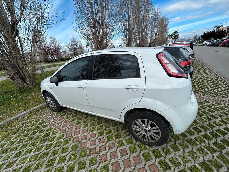 Usata Fiat Punto 78 CV (57 kW) 2015 Bianco Utilitaria