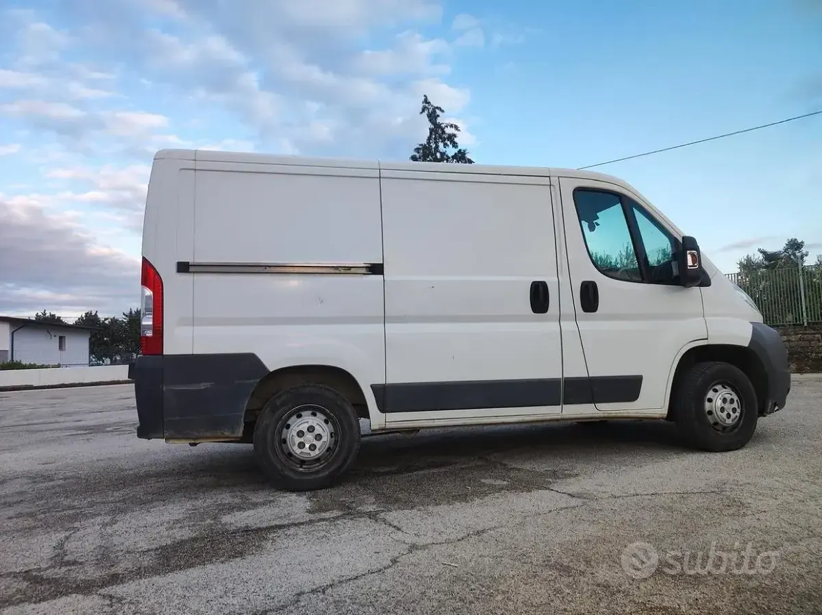 Usata Fiat Ducato 2014 Bianco Furgone