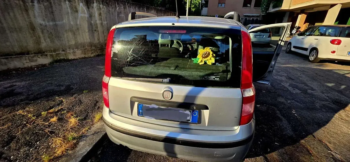Usata Fiat Panda Dynamic 69 CV (50 kW) 2011 Utilitaria