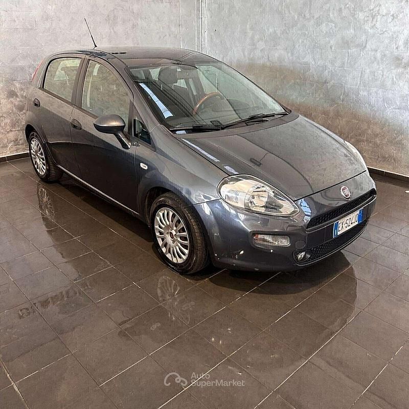 Usata Fiat Punto Lounge 75 CV (55 kW) 2015 Grigio Utilitaria