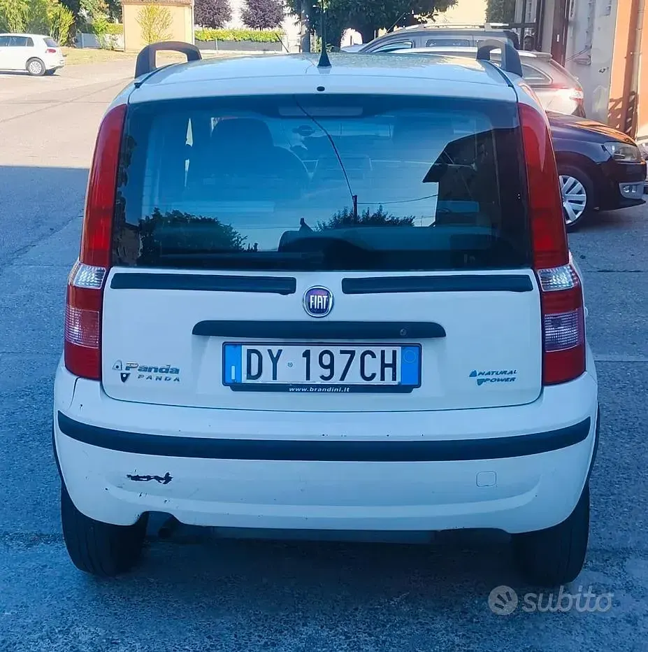 Usata Fiat Panda Dynamic 60 CV (44 kW) 2009 Bianco Utilitaria
