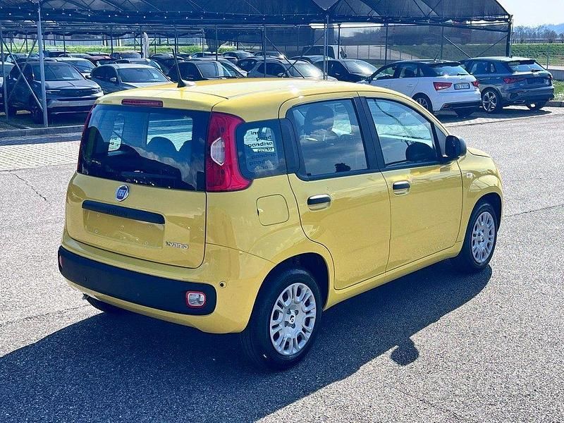 Nuova Fiat Panda Icon 2025 Giallo Utilitaria