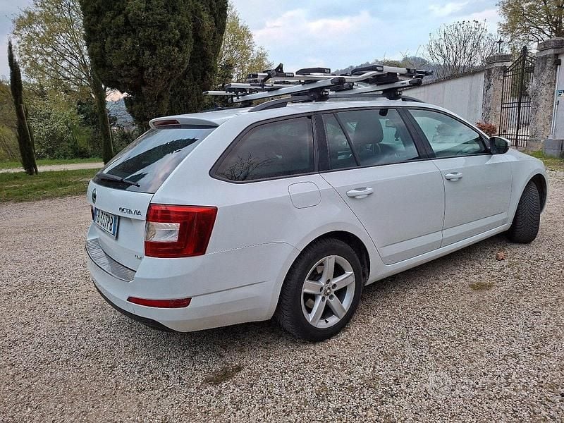 Usata Skoda Octavia 150 CV (110 kW) 2015 Bianco Utilitaria