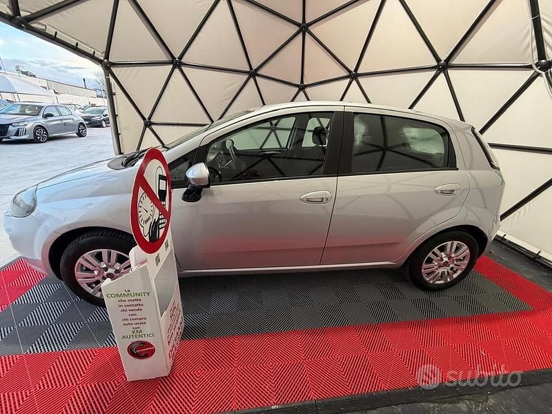 Usata Fiat Punto Lounge 77 CV (56 kW) 2014 Grigio Utilitaria