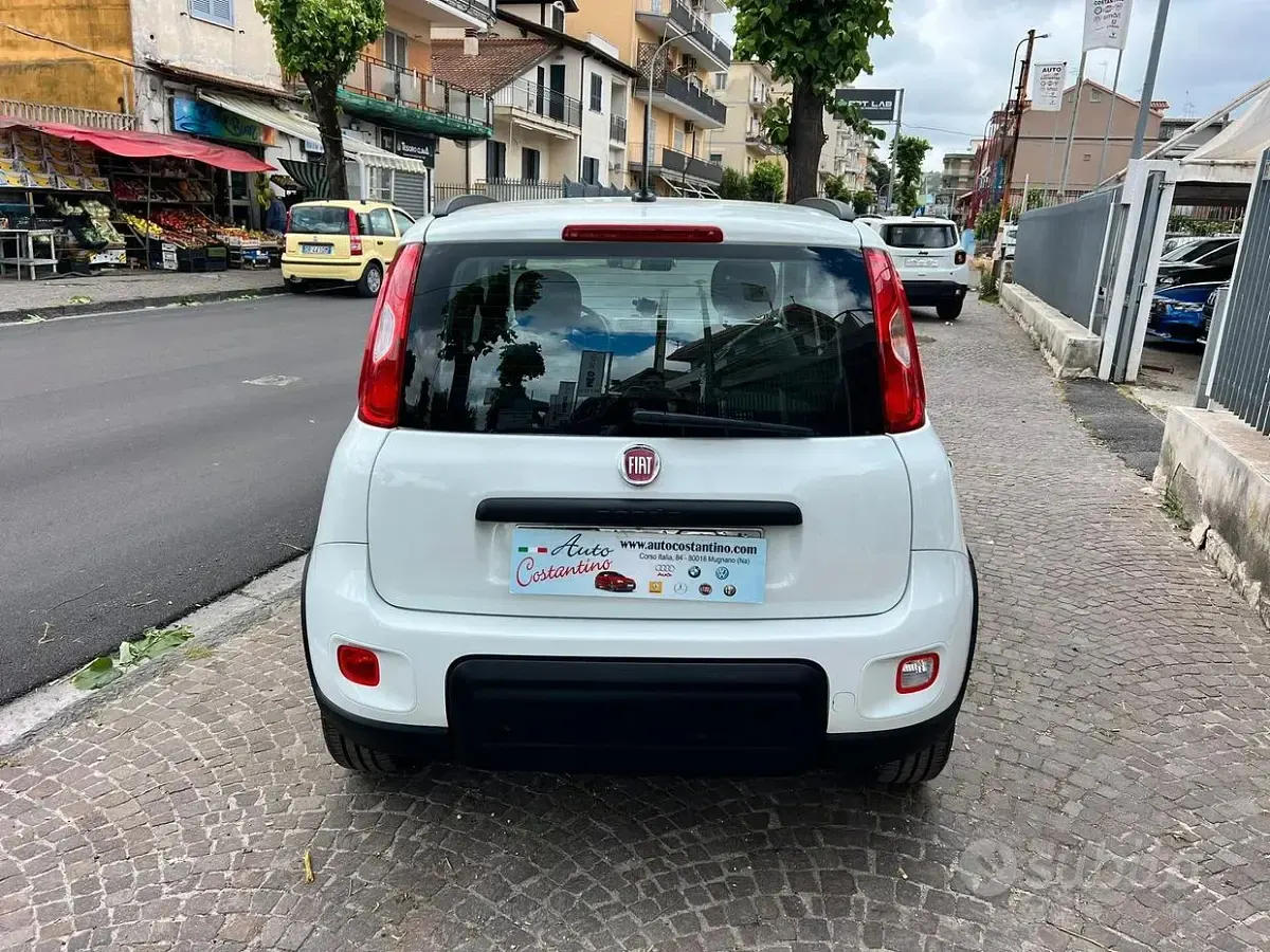 Usata Fiat Panda City Life 69 CV (50 kW) 2021 Bianco Utilitaria