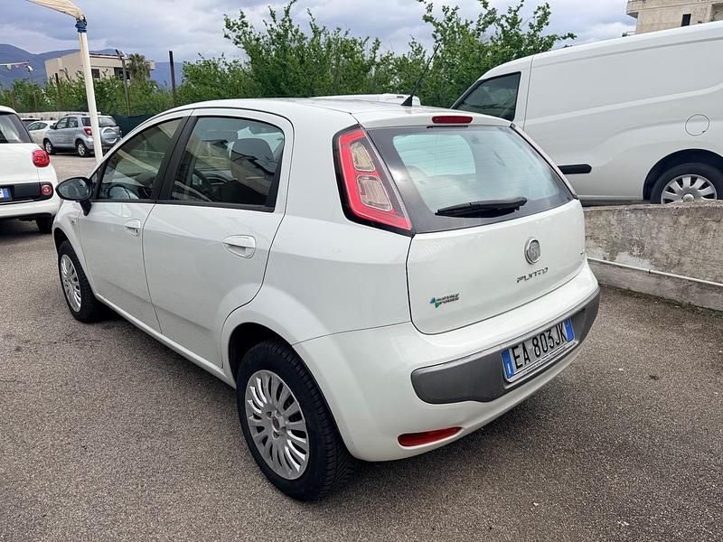 Usata Fiat Punto Evo 77 CV (56 kW) 2010 Bianco Utilitaria
