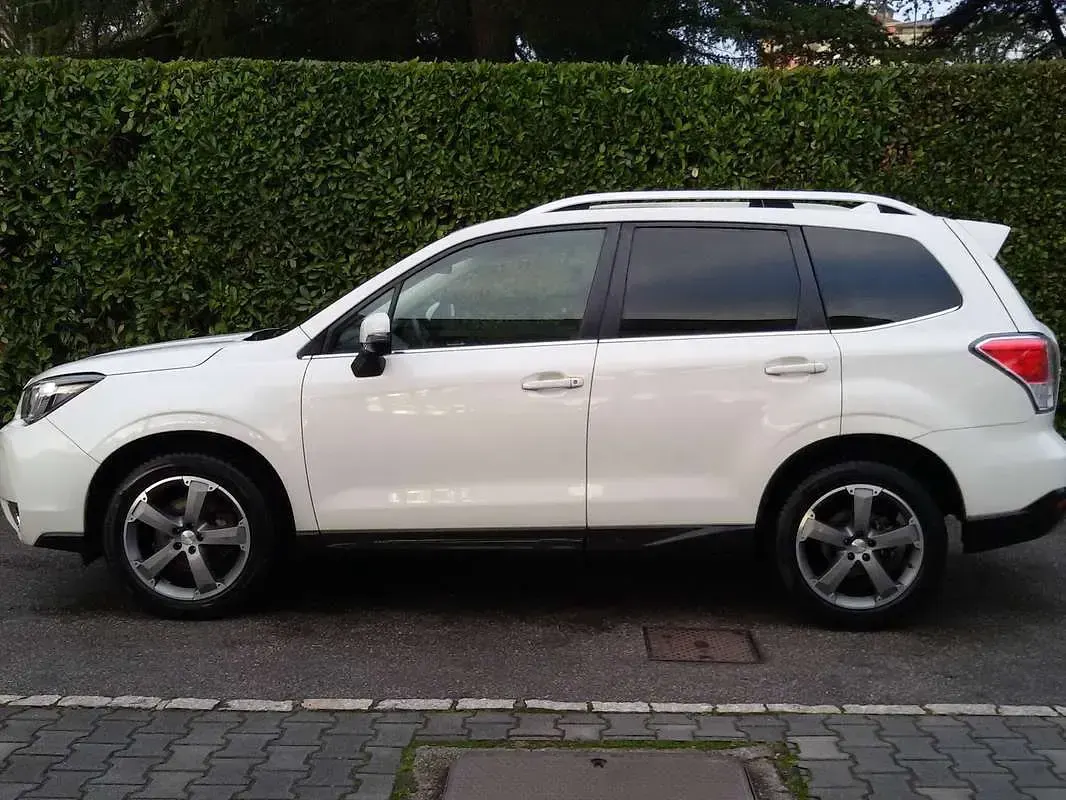 Usata Subaru Forester Sport 147 CV (108 kW) 2016 Bianco SUV