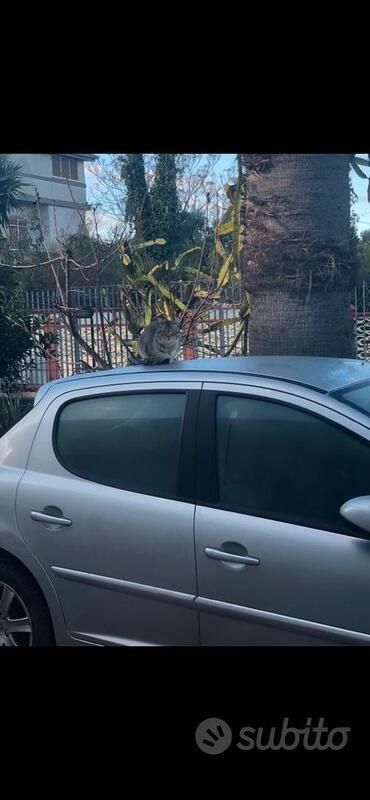 Usata Peugeot 207 2007 Grigio Utilitaria