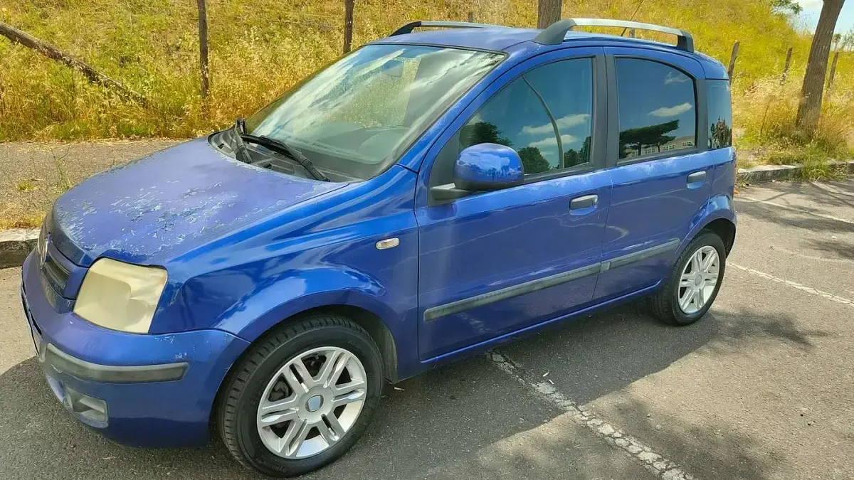 Usata Fiat Panda Dynamic 69 CV (50 kW) 2010 Blu Utilitaria
