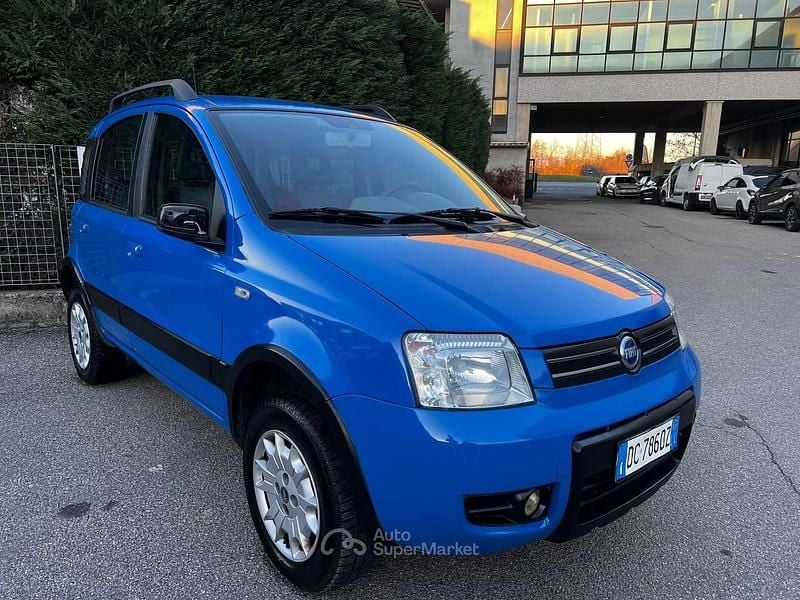 Usata Fiat Panda 4x4 Climbing 60 CV (44 kW) 2006 Other Utilitaria
