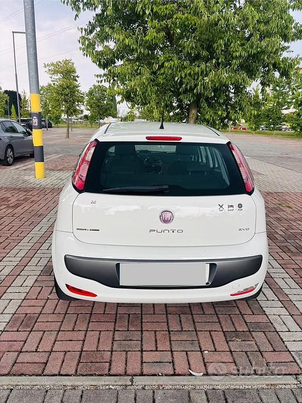 Usata Fiat Punto Easy 69 CV (50 kW) 2010 Bianco Utilitaria
