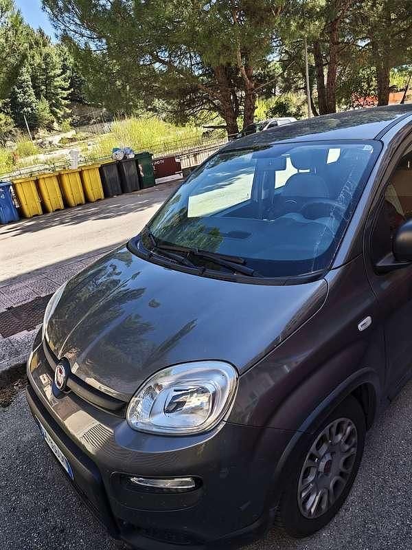 Usata Fiat Panda S 69 CV (50 kW) 2022 Utilitaria