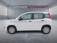 Usata Fiat Panda Street 69 CV (50 kW) 2021 Bianco Utilitaria
