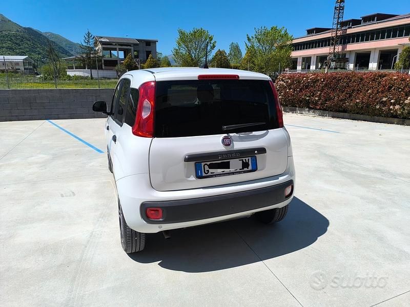 Occasion Fiat Panda 4x4 85 ch (62 kW) 2021 Blanc Citadine