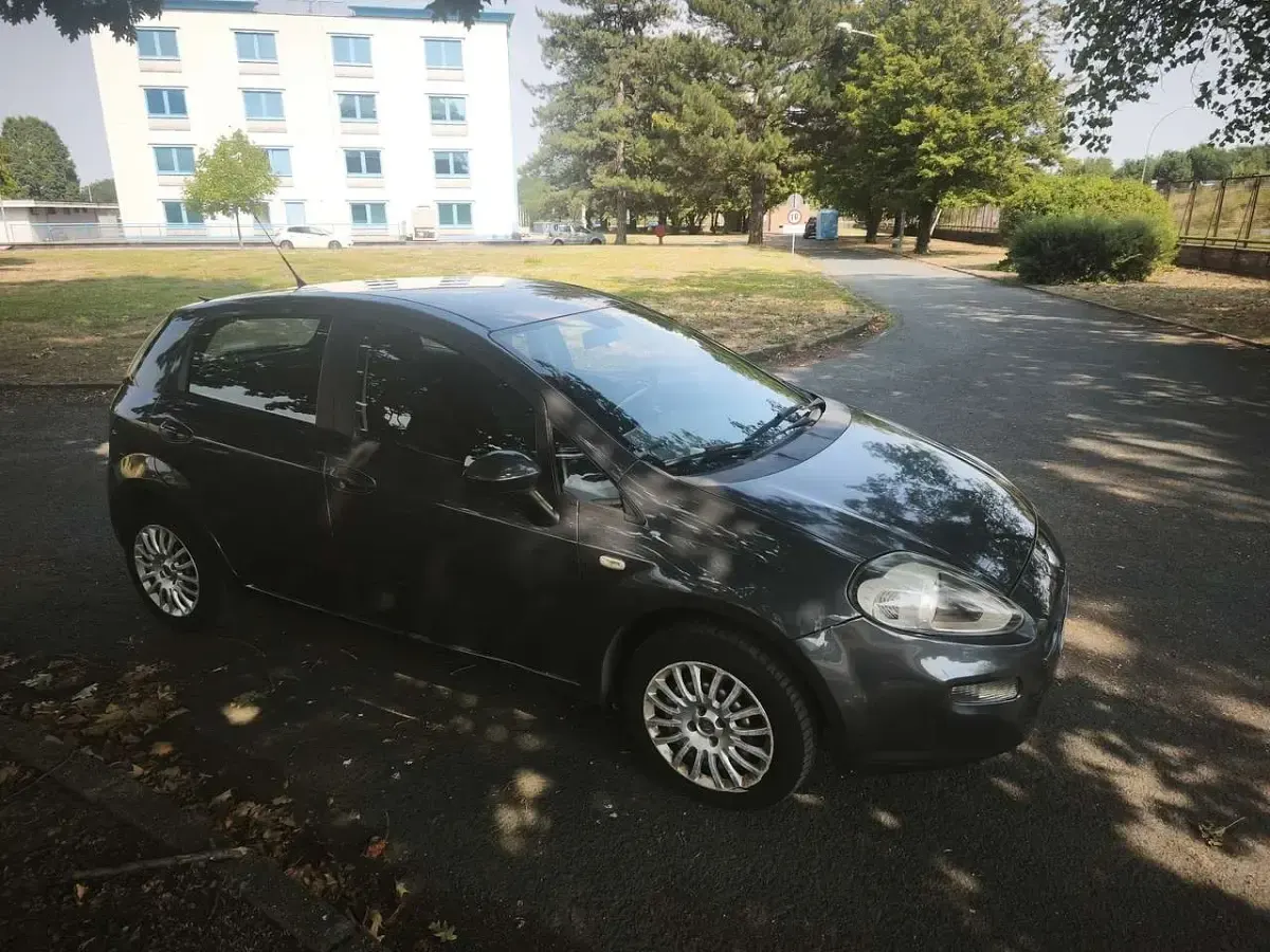Usata Fiat Punto Evo 77 CV (56 kW) 2014 Grigio Utilitaria