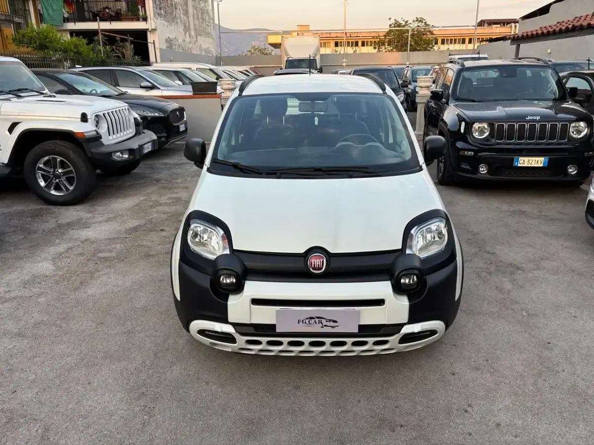 Usata Fiat Panda Cross Cross 69 CV (50 kW) 2021 Bianco Utilitaria