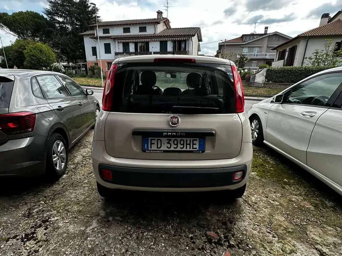 Usata Fiat Panda Easy 80 CV (58 kW) 2016 Beige Utilitaria