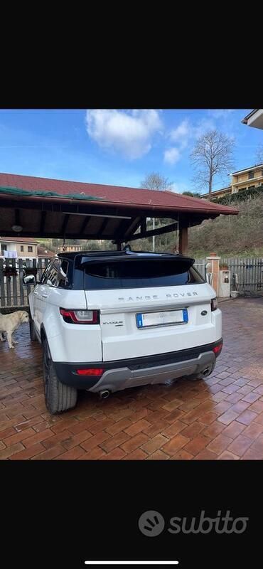 Usata Land Rover Range Rover evoque 106 CV (77 kW) 2017 Bianco SUV