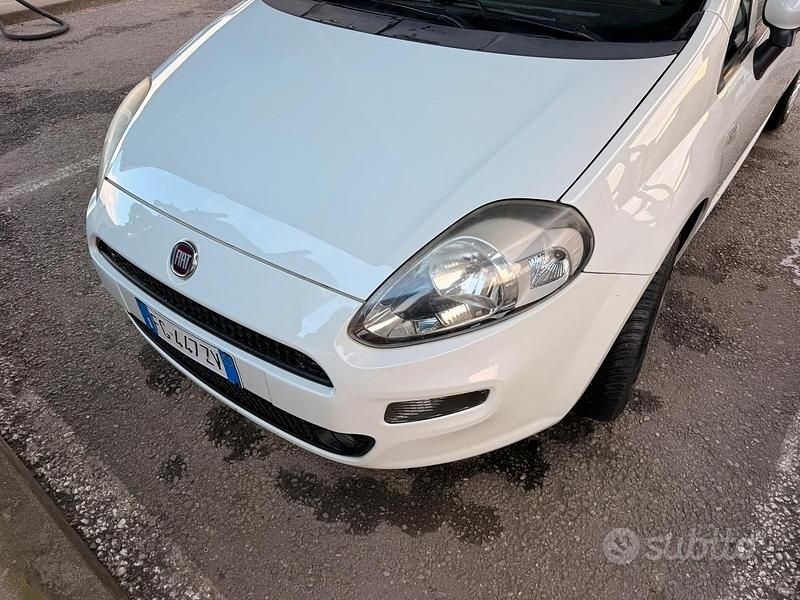 Usata Fiat Punto 2016 Bianco Utilitaria